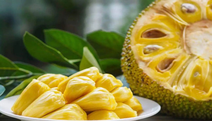 Jack Fruit: ಹಲಸಿನ ಹಣ್ಣು ಸೇವಿಸಿದ ಬಳಿಕ ಅಪ್ಪಿ-ತಪ್ಪಿಯೂ ಕೂಡ ಇವುಗಳನ್ನು ಸೇವಿಸಬೇಡಿ, ಶರೀರಕ್ಕೆ ಹಾನಿ ತಪ್ಪಿದ್ದಲ್ಲ! title=