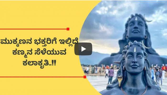 Shiva Temple Video: ಇಪ್ಪತ್ತು ದಿನದಲ್ಲಿ ಸಿದ್ದವಾಯ್ತು ಶಿವನ ವಿಶೇಷ ದೇವಾಲಯ