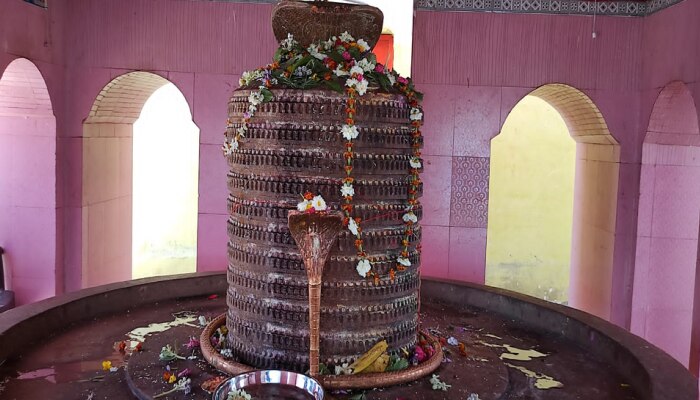 Mahashivratri 2022: ಸಹಸ್ರ ಲಿಂಗೇಶ್ವರ ಮಹಾದೇವನ ಪೂಜೆಯಿಂದ ಸಿಗುತ್ತೆ 1009 ಶಿವಲಿಂಗಗಳ ಪೂಜಾ ಫಲ