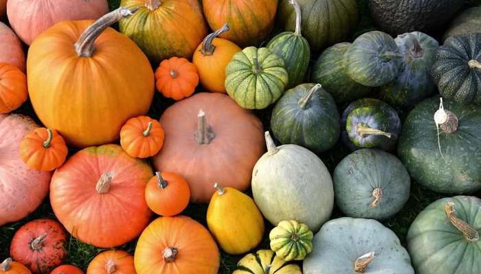Health Benefits of eating pumpkin 