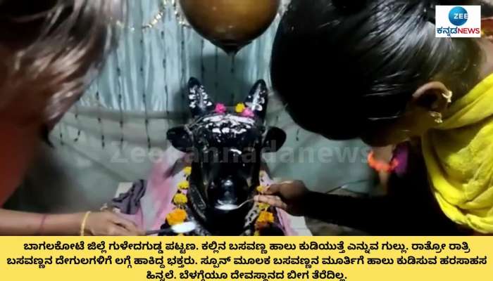 Is It Real Stone Nandi drinking milk in Bagalkot District..?