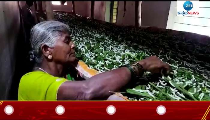 This woman is number 1 in silk farming