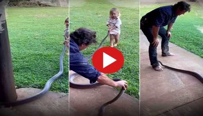 Child With Snake Video: ಪುಟ್ಟ ಬಾಲಕಿಯ ಮುಂದೆ ದೈತ್ಯ ಹಾವು, ಮುಂದೇನಾಯ್ತು... ಈ ವಿಡಿಯೋ ನೋಡಿ...
