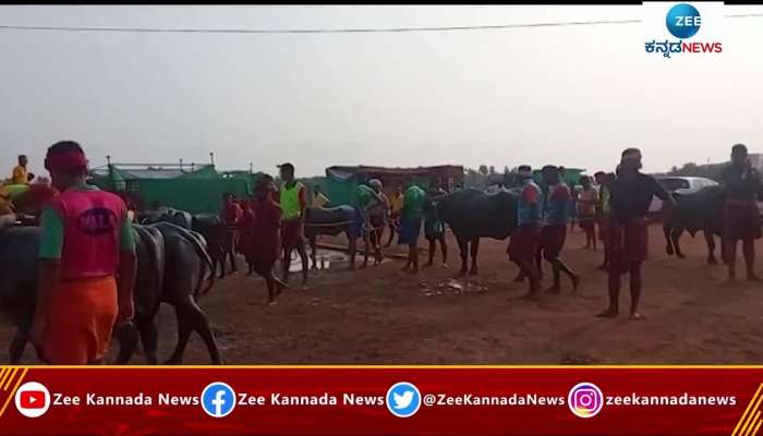 mangalore kambala celebration 2022