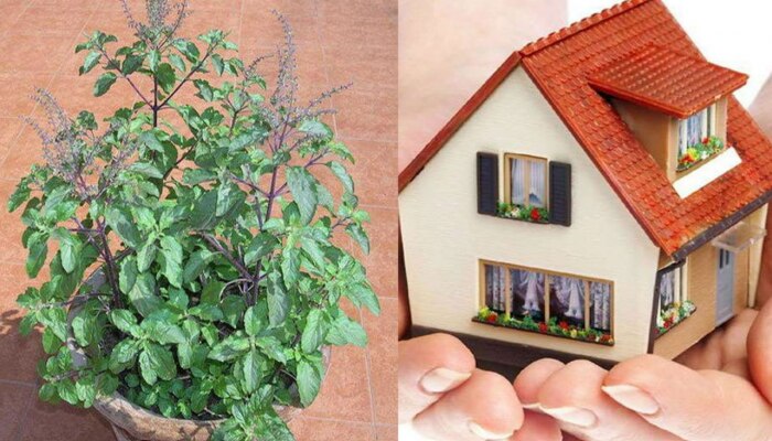 Vastu Tips : ವಾಸ್ತು ಪ್ರಕಾರ ಮನೆಯಲ್ಲಿ ಈ 3 ವಿಶೇಷ ಬದಲಾವಣೆ ಮಾಡಿ, ಅದೃಷ್ಟ ಕೂಡಿಬರುತ್ತದೆ! title=