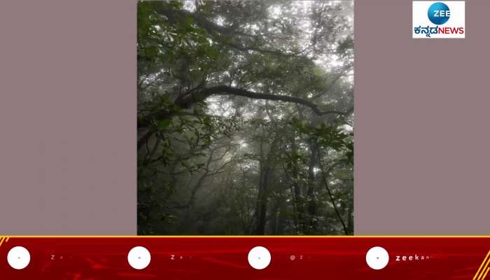 Shringeri Nature Viral Video 