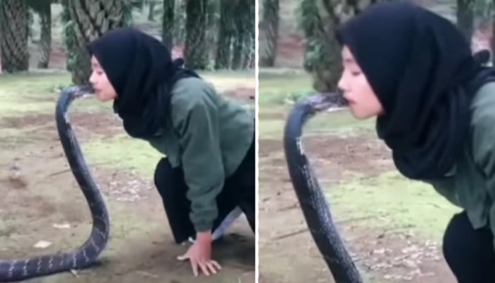 Girl Kiss To Snake Video: ಹಿಸ್..ಹಿಸ್ ಎನ್ನುತ್ತಿದ್ದ ನಾಗರಾಜನಿಗೆ ಕಿಸ್ ಕೊಟ್ಟ ಯುವತಿ, ಮುಂದೇನಾಯ್ತು? title=