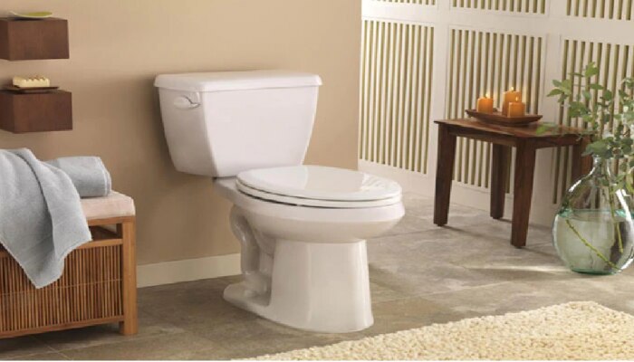 Toilet Room Vastu Tips : ಅಪ್ಪಿತಪ್ಪಿಯೂ ಮನೆಯ ಈ ದಿಕ್ಕಿನಲ್ಲಿ ಶೌಚಾಲ ಕಟ್ಟಬೇಡಿ : ಯಾಕೆ ಇಲ್ಲಿ ನೋಡಿ