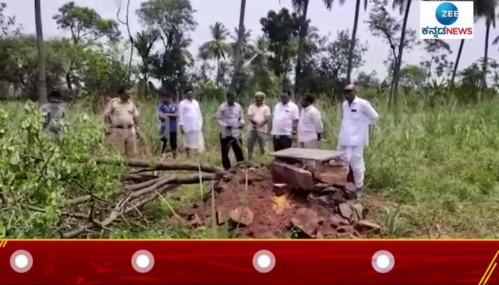  Sandalwood theft in bagalkote