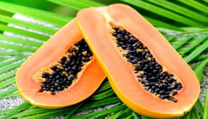Papaya Benefits : ಆರೋಗ್ಯಕ್ಕೆ ತುಂಬಾ ಪ್ರಯೋಜನಕಾರಿ ಪಪ್ಪಾಯಿ : ಈ ಸಮಸ್ಯೆಗಳಿಗೆ ಪರಿಹಾರ