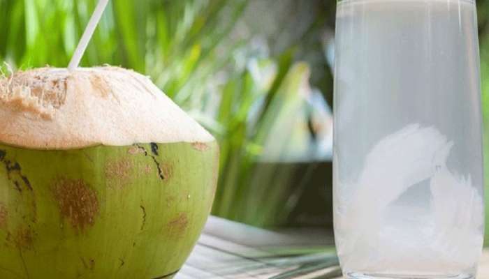 Coconut Water: ಎಳನೀರಿನ ಸೇವನೆಯಿಂದ ಸಿಗುವ ಅದ್ಭುತ ಪ್ರಯೋಜನಗಳಿವು 