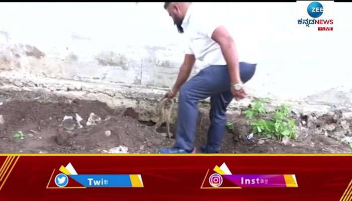 Two Snakes Found in Site Area at Gadag
