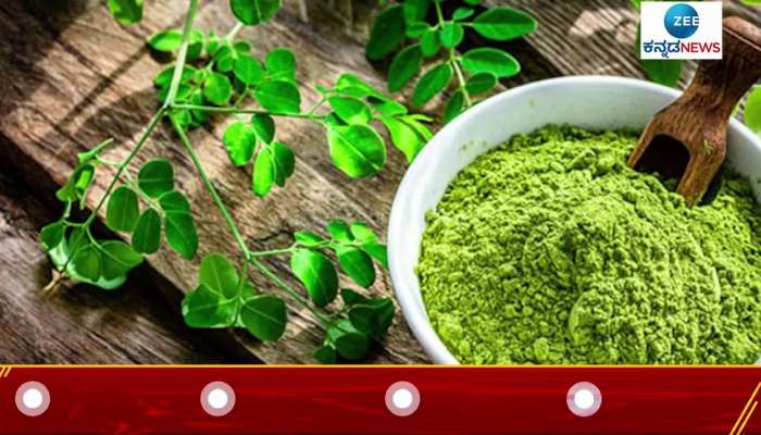 Health benefits og moringa powder