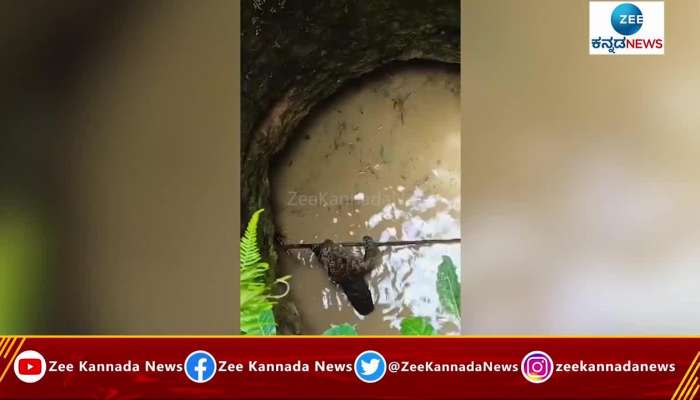 Leopard fell in well at Dakshina Kannada s Navara Villeage