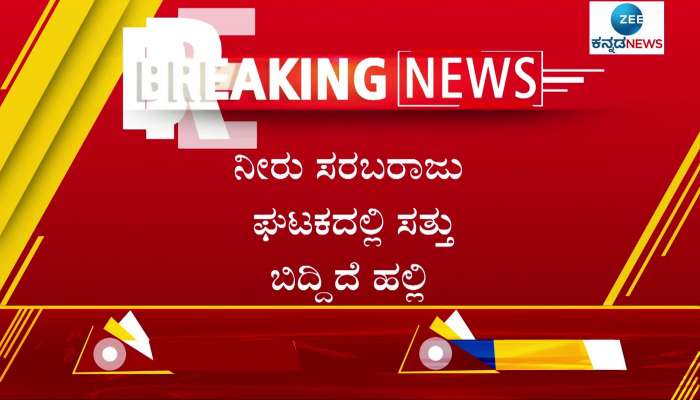 Lizard found in drinking water witnesses uttar negligence of Raichur municipal workers