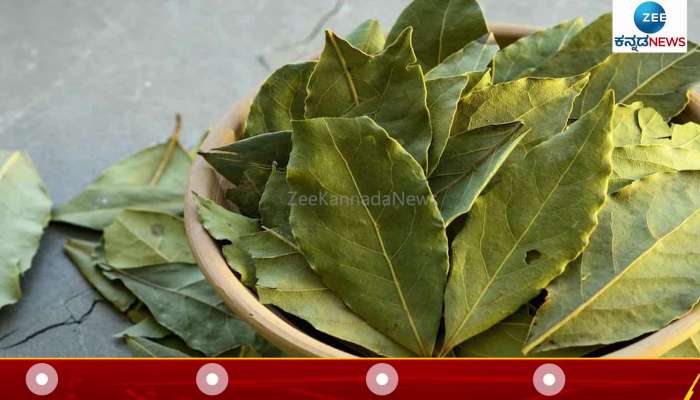 bay leaf health benefits