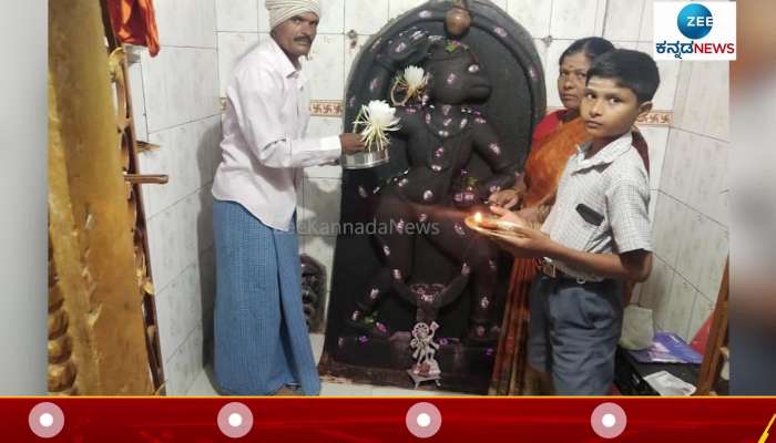 Brahma Kamala Blooms in Gadag