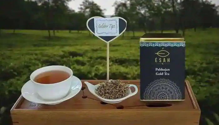 Costliest Tea: ಇದುವೇ ದೇಶದ ಅತ್ಯಂತ ದುಬಾರಿ ಟೀ, ಒಂದು ಕಿಲೋ ಬೆಲೆ ಐಫೋನ್ 13ಗೆ ಸಮ