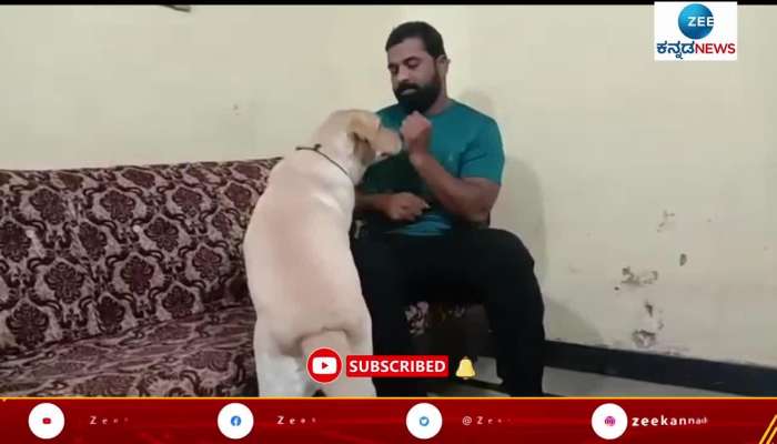 Dance master subhsh chandra watched 777 Charlie with dog