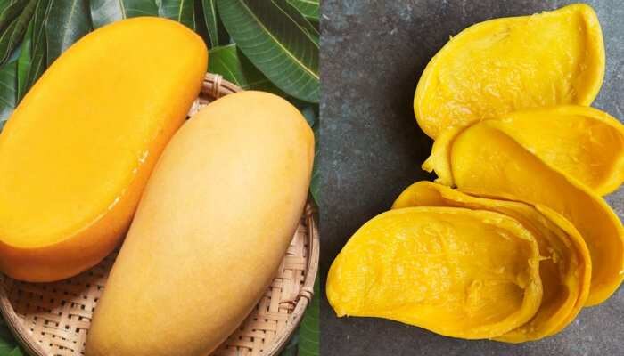 Benefits Of Mango Peel: ಹಲವು ರೀತಿಯ ಕ್ಯಾನ್ಸರ್ ನಿವಾರಣೆಗೆ ತುಂಬಾ ಲಾಭಕಾರಿಯಾಗಿದೆ ಮಾವಿನ ಹಣ್ಣಿನ ಸಿಪ್ಪೆ