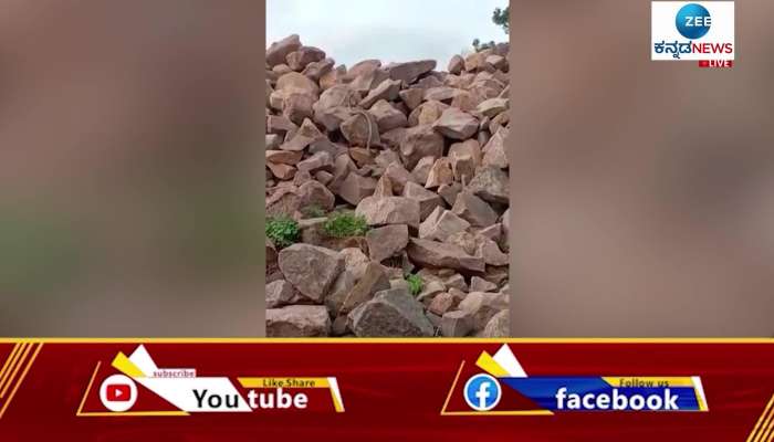 Snake video captured in Vijayapura 