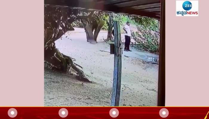 Elephant scared a man from backside- video viral