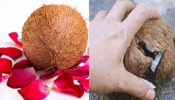 Coconut Astro Remedies: ಜೀವನದ ಎಲ್ಲಾ ದುಃಖಗಳನ್ನು ದೂರ ಮಾಡುತ್ತೆ  ಒಂದು ತೆಂಗಿನಕಾಯಿ!
