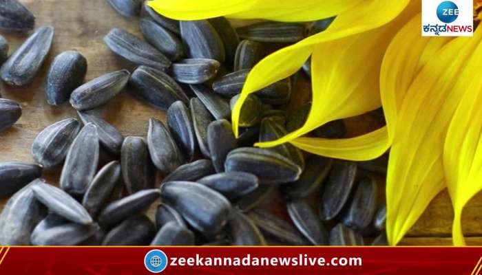Sunflower seeds are very beneficial for health