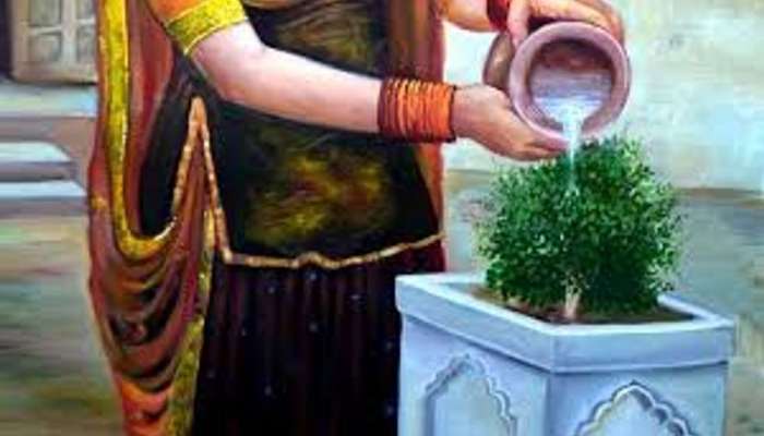 Vastu Tips: ಸುಖ-ಸಮೃದ್ಧಿಗಾಗಿ  ತುಳಸಿಗೆ ನೀರು ಅರ್ಪಿಸುವಾಗ ಈ ಮಂತ್ರ ಜಪಿಸಿ 
