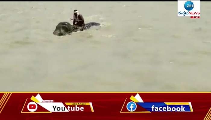  elephant trying to cross Ganga river viral video