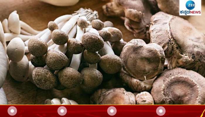 These problems are guaranteed by eating mushrooms