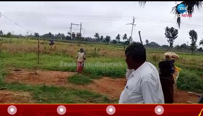 A tomato grower is in tears due to road Problem 