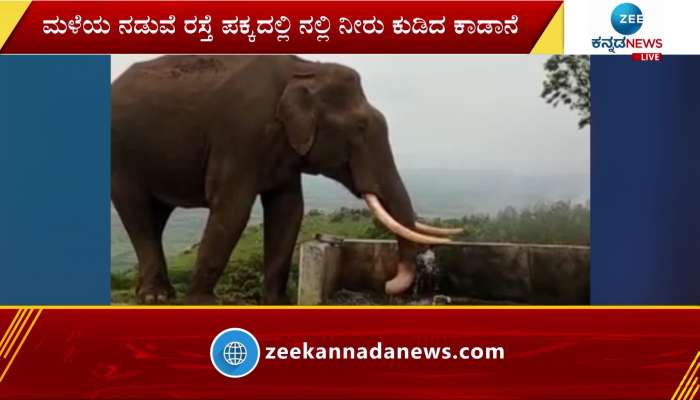 An elephant drinking water from a tap- video viral