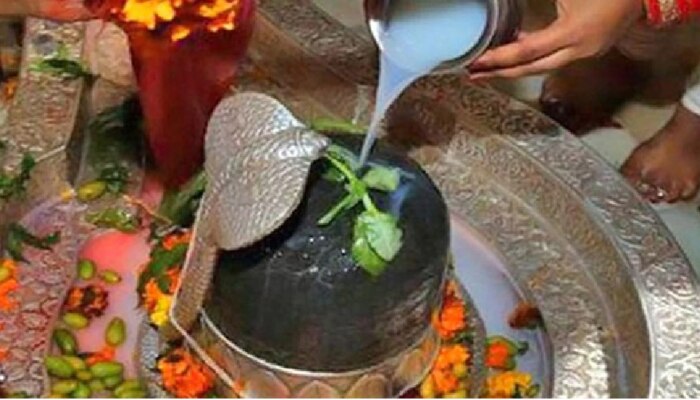 Bilva Patre: ಶಿವನಿಗೆ ಬಿಲ್ವಪತ್ರೆ ಅರ್ಪಿಸುವ ಸರಿಯಾದ ಪದ್ಧತಿ ತಿಳಿಯಿರಿ