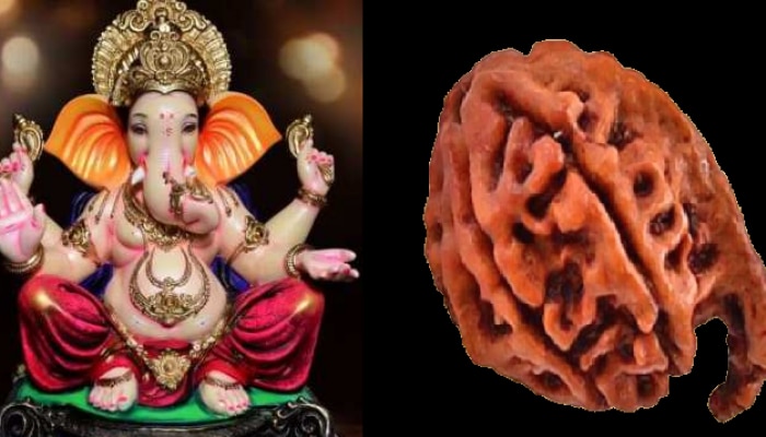 Ganesh Rudraksh Benefit: ವ್ಯಾಪಾರ ಸೇರಿದಂತೆ ಮಕ್ಕಳಲ್ಲಿ ಏಕಾಗ್ರತೆ ಹೆಚ್ಚಿಸಲು ತುಂಬಾ ಲಾಭಕಾರಿ ಈ ರುದ್ರಾಕ್ಷ ಧಾರಣೆ