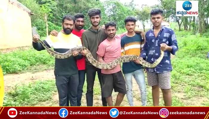 Python rescued in Ramanagar by Snake Nagesh