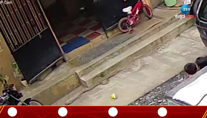 cobra identified in front of home in mandya