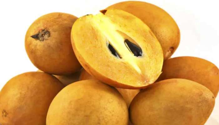 Chikoo Fruit: ಚಿಕ್ಕೂ ಹಣ್ಣು ಒಂದಲ್ಲ ಹಲವಾರು ರೋಗಗಳಿಗೆ ಪರಿಹಾರ ನೀಡುತ್ತದೆ  title=