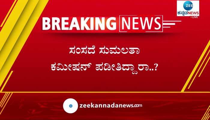 mla timmanna reacted mp sumalatha ambarish statement