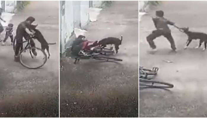 Dog Attack Viral Video: 11-12 ವರ್ಷದ ಬಾಲಕನ ಮೇಲೆ ಬೀದಿನಾಯಿ ಅಟ್ಯಾಕ್- ವಾಚ್ ವೈರಲ್ ವಿಡಿಯೋ  
