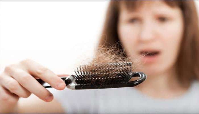 Hair Care Tips: ಕೂದಲು ಉದುರುವಿಕೆಯಿಂದ ನಿಮಗೂ ತೊಂದರೆಯಾಗುತ್ತಿದೆಯೇ- ಈ ನೈಸರ್ಗಿಕ ಪರಿಹಾರಗಳನ್ನು ಅಳವಡಿಸಿಕೊಳ್ಳಿ