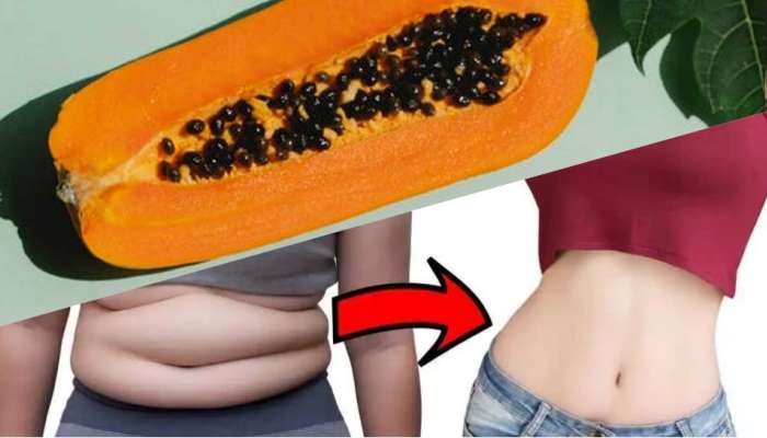 Papaya Seeds : ಪಪ್ಪಾಯಿ ಬೀಜ ಹೀಗೆ ಬಳಸಿದ್ರೆ Belly Fat ಕೆಲವೇ ದಿನಗಳಲ್ಲಿ ಮಾಯವಾಗುತ್ತೆ! 