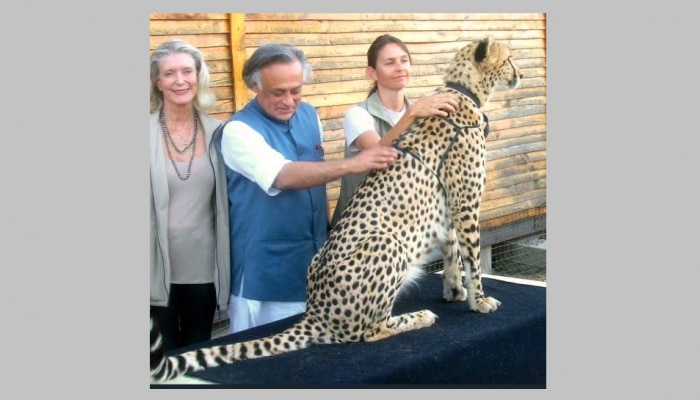 Project Cheetah: ಚಿರತೆಯ ಜೊತೆಗಿನ ಫೋಟೋ ಹಂಚಿಕೊಂಡು, ಪ್ರಧಾನಿ ಮೋದಿ ಕಾಲೆಳೆದ ಕಾಂಗ್ರೆಸ್ ಮುಖಂಡ 