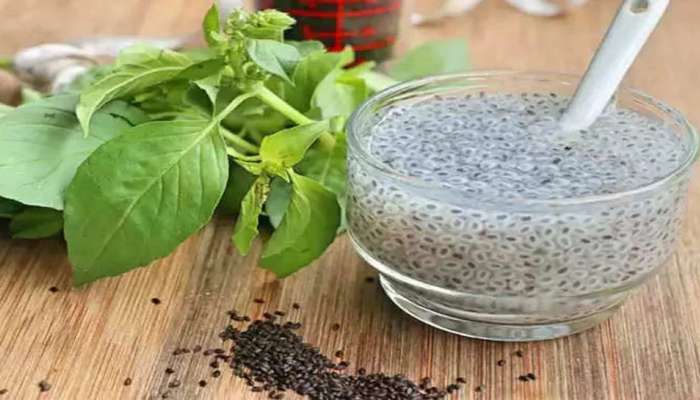 Basil Seeds: ಕಾಮ ಕಸ್ತೂರಿ ಬೀಜದಲ್ಲಿದೆ ಆರೋಗ್ಯದ ನಿಧಿ.. ಅನೇಕ ರೋಗಗಳಿಗೆ ಇದೇ ಮದ್ದು! 