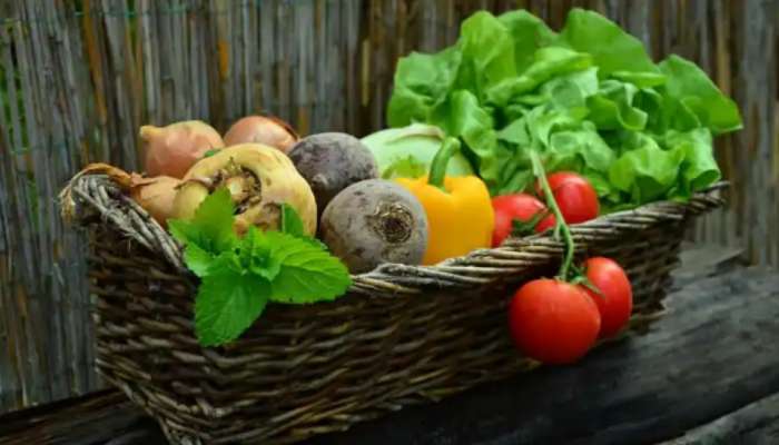 02 - 10 - 2022 Today Vegetable Price: ಇಂದಿನ ತರಕಾರಿ, ಹಣ್ಣುಗಳ ಬೆಲೆ ಹೀಗಿದೆ ನೋಡಿ.. title=