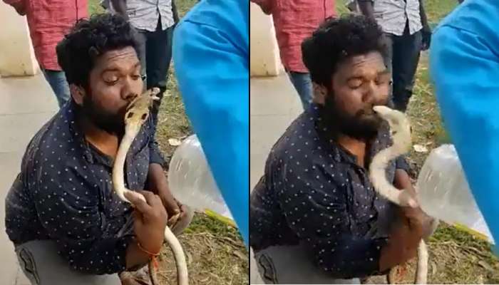 Viral Video : ಹಾವಿನ ಹೆಡೆಗೆ ಮುತ್ತಿಡಲು ಹೋದ ಯುವಕ.! ಆಗಿದ್ದೇನು ನೋಡಿ.. title=