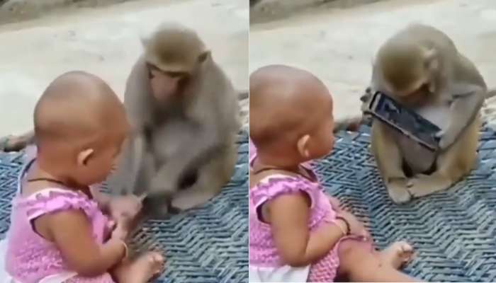 Monkey fights with a baby girl for mobile phone video gone viral |  ಮೊಬೈಲ್‌ಗಾಗಿ ಮಗುವಿನ ಜೊತೆ ಮಂಗನ ಜಗಳ.. ವಿಡಿಯೋ ವೈರಲ್‌.! Viral News in Kannada