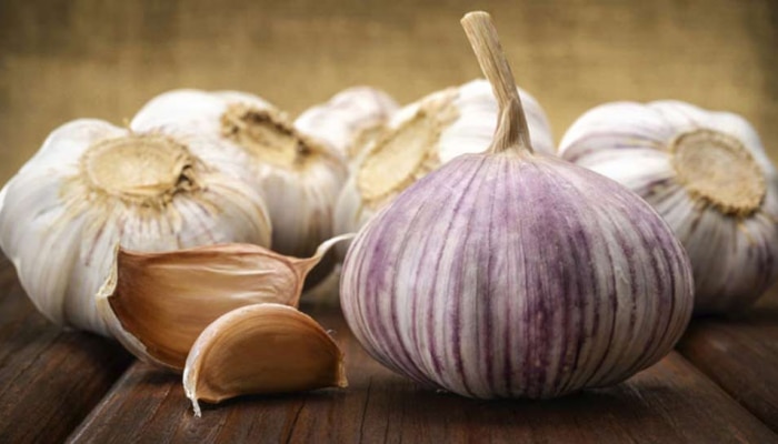  Raw Garlic Benefits : ಖಾಲಿ ಹೊಟ್ಟೆಯಲ್ಲಿ ಸೇವಿಸಿ ಹಸಿ ಬೆಳ್ಳುಳ್ಳಿ : ಈ ರೋಗಗಳಿಗೆ ಹೇಳಿ ಗುಡ್ ಬೈ!