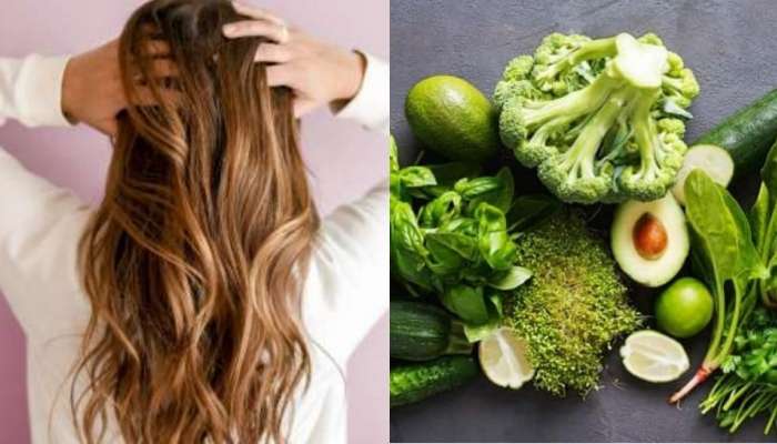 Eat these vegetables for faster hair growth | ಕೂದಲು ವೇಗವಾಗಿ ಬೆಳೆಯಲು ಈ  ತರಕಾರಿಗಳನ್ನು ಸೇವಿಸಿ Health News in Kannada