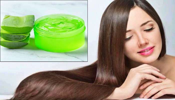 Hair Care tips : ಸಿಲ್ಕಿ ಸ್ಮೂತ್‌ ಕೂದಲಿಗಾಗಿ ಅಲೋವೆರಾ ಜೆಲ್ ಅನ್ನು ಈ ರೀತಿ ಬಳಸಿ 